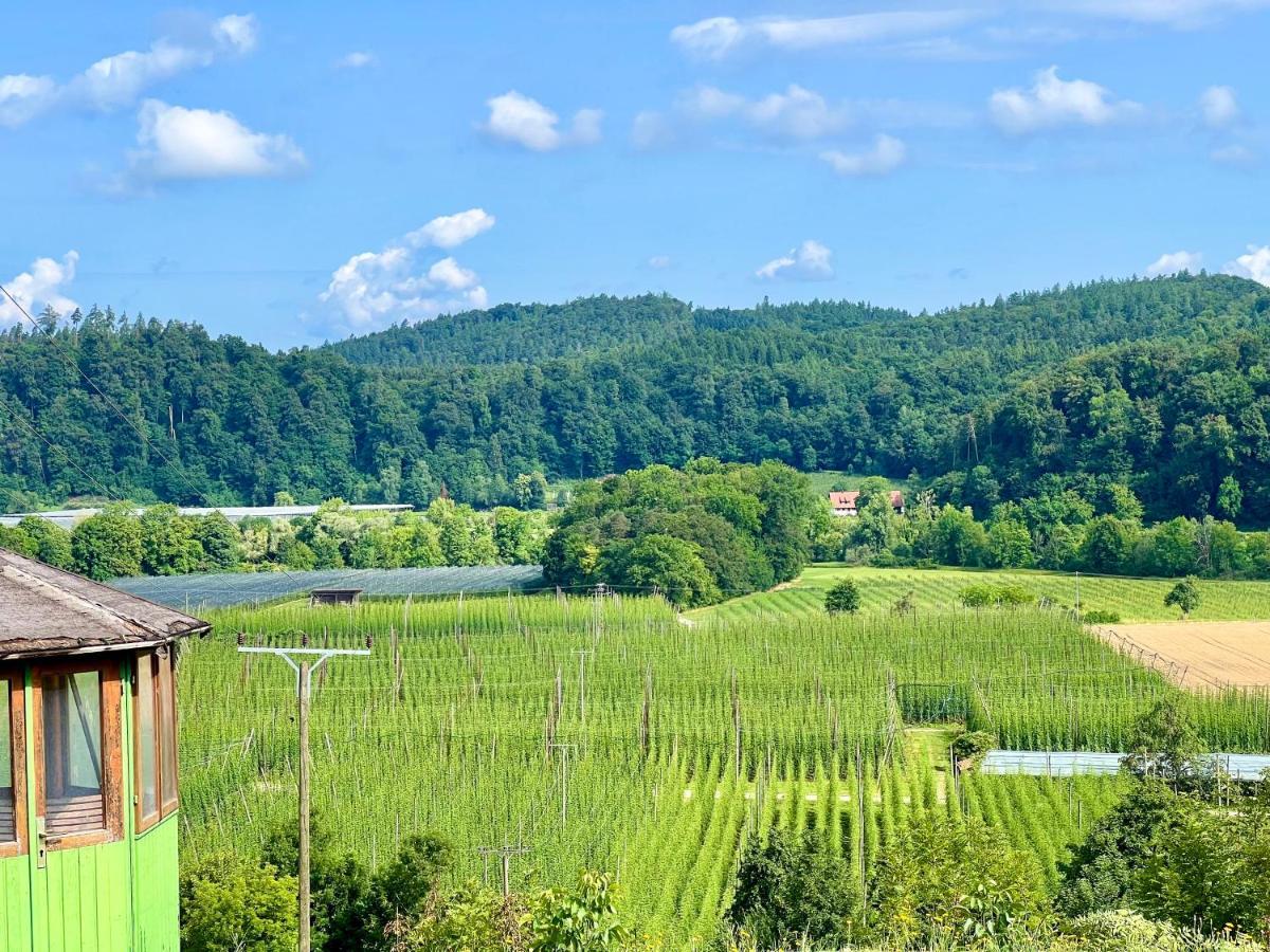 Einzigartiger Panoramablick, Bodensee Und Messe In Der Naehe Тетнанг Экстерьер фото