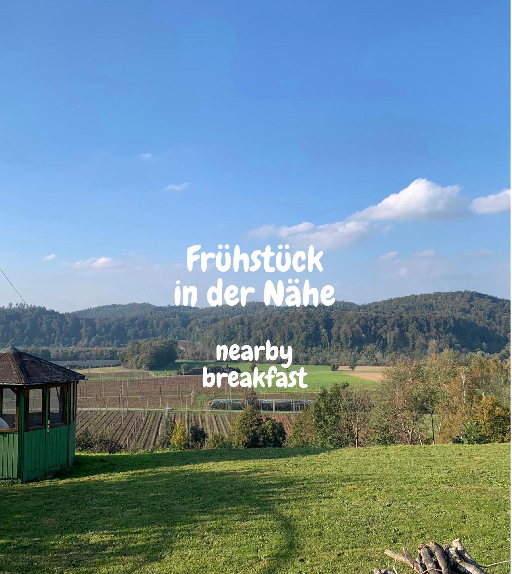 Einzigartiger Panoramablick, Bodensee Und Messe In Der Naehe Тетнанг Экстерьер фото